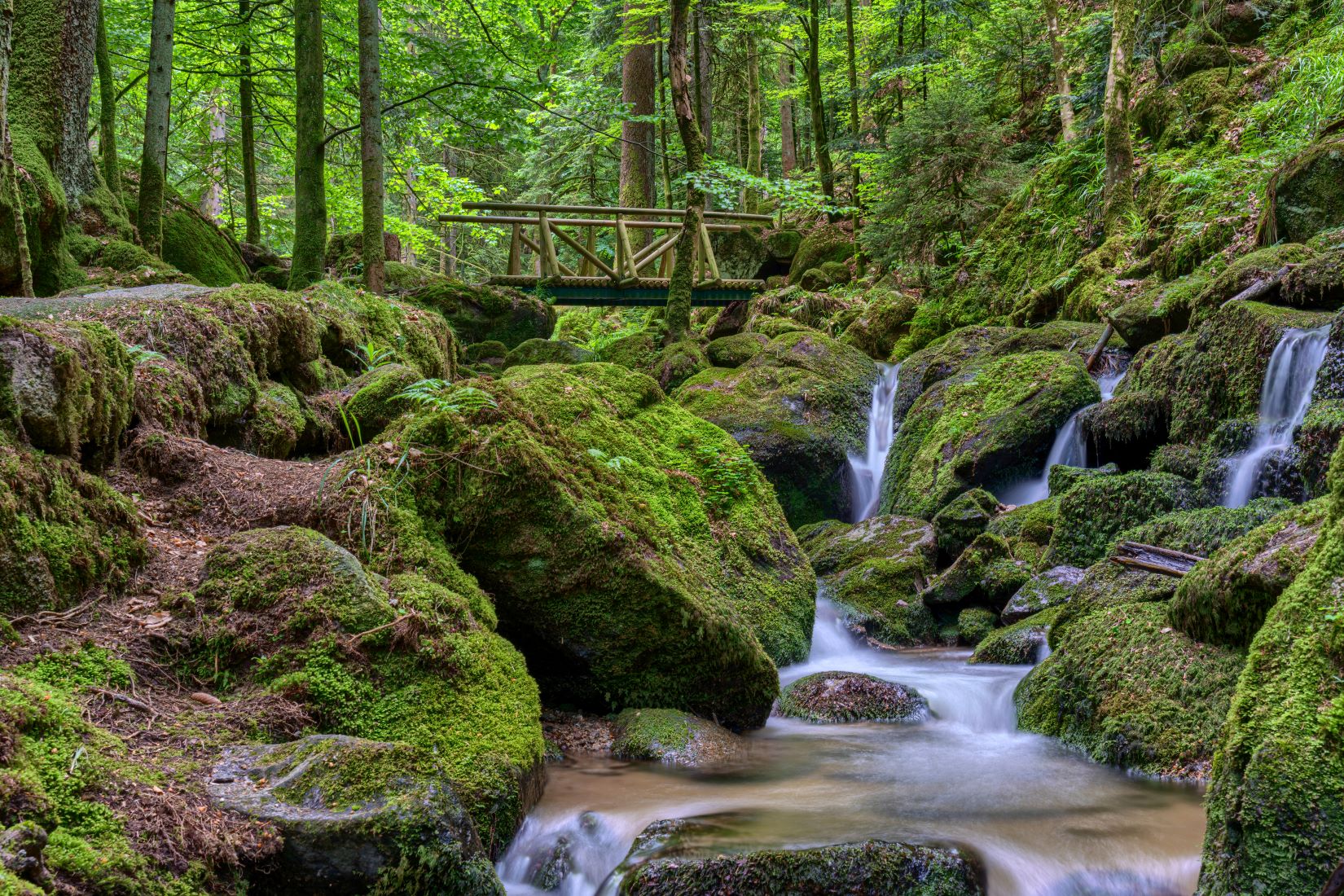 Gertelbach-Wasserfälle im Schwarzwald Gertelbach-Wasserfälle im Schwarzwald